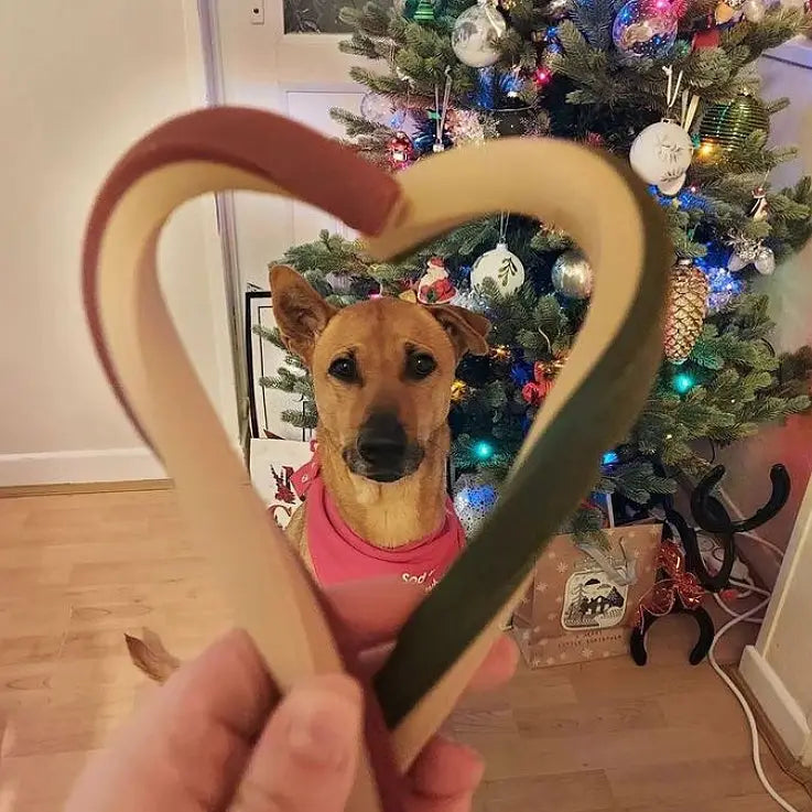 Maks’Patch Christmas Veggie Canes Large