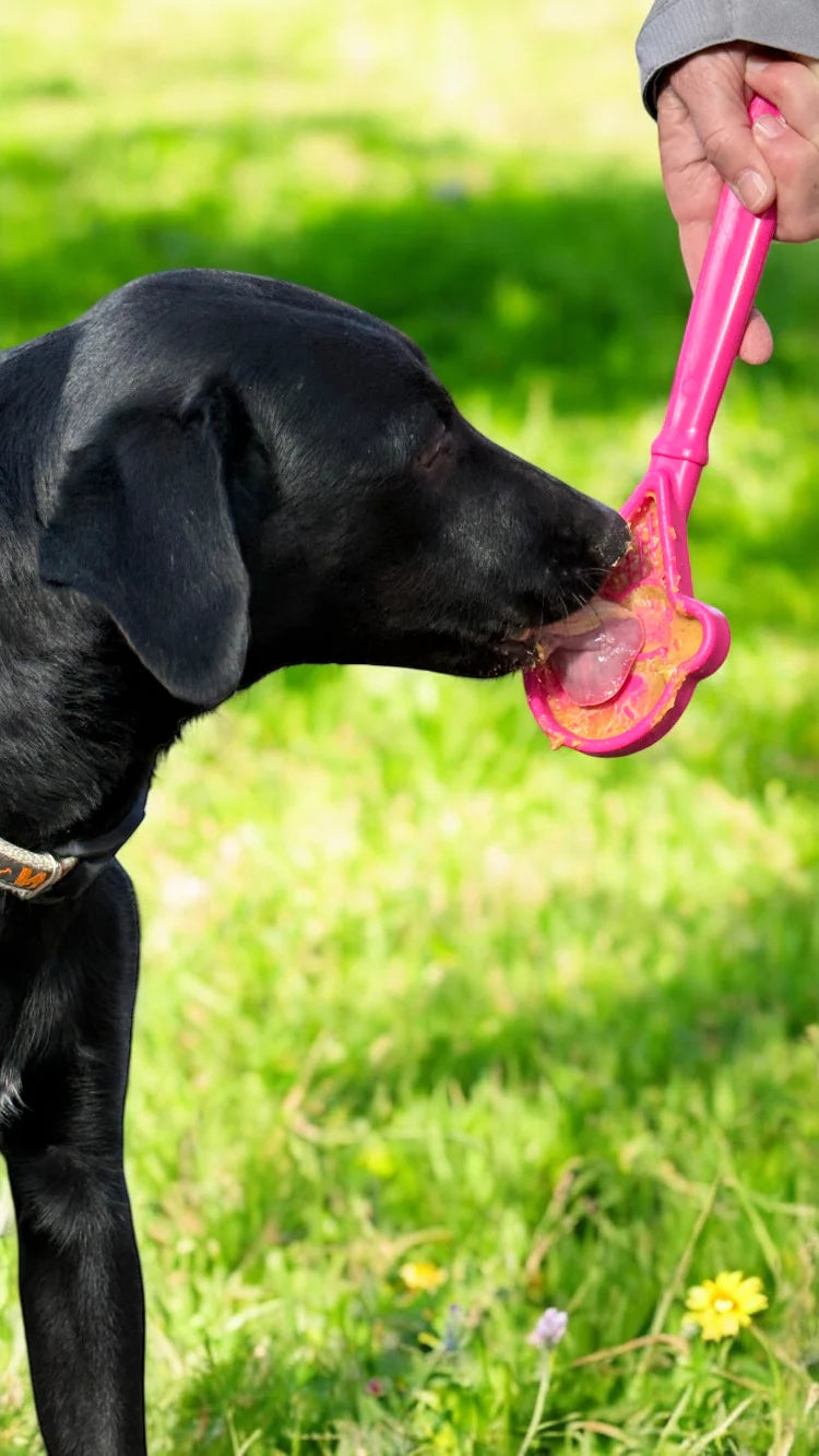 Sodapup Lick Stick Interactive Enrichment For Dogs