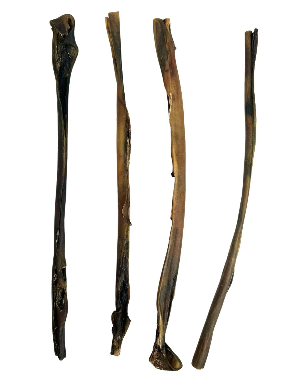 Giant Camel Skin Stick 50cm Dog Chew