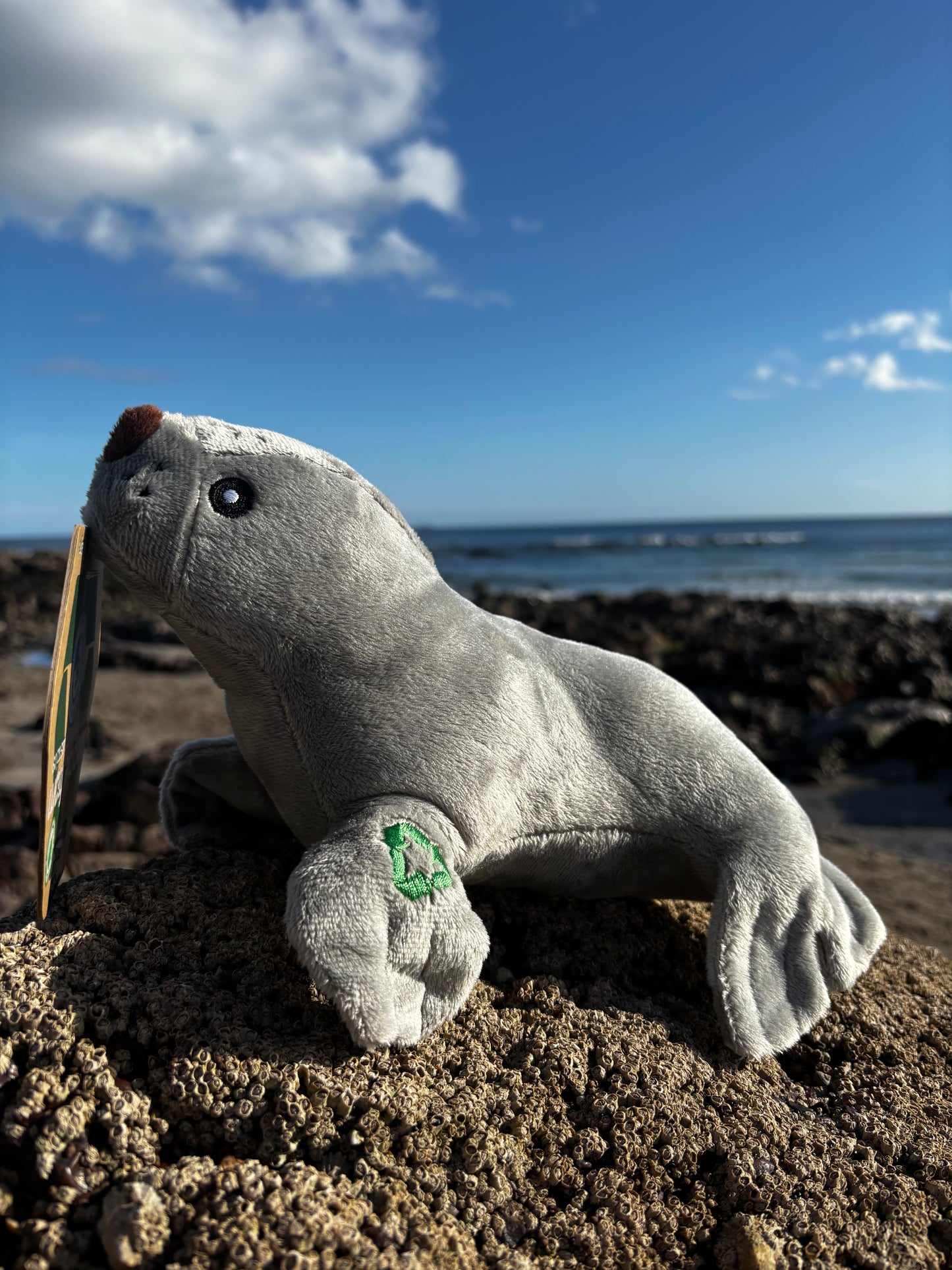 Eco Seal Dog Toy Plush