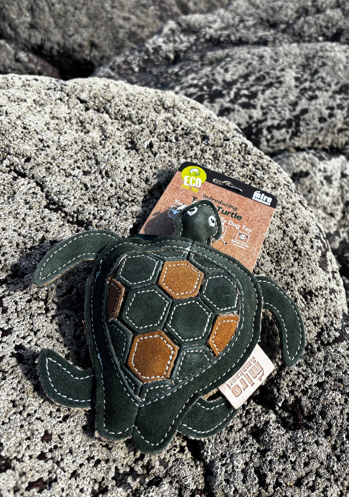 Tara Turtle- Eco Leather Dog Toy