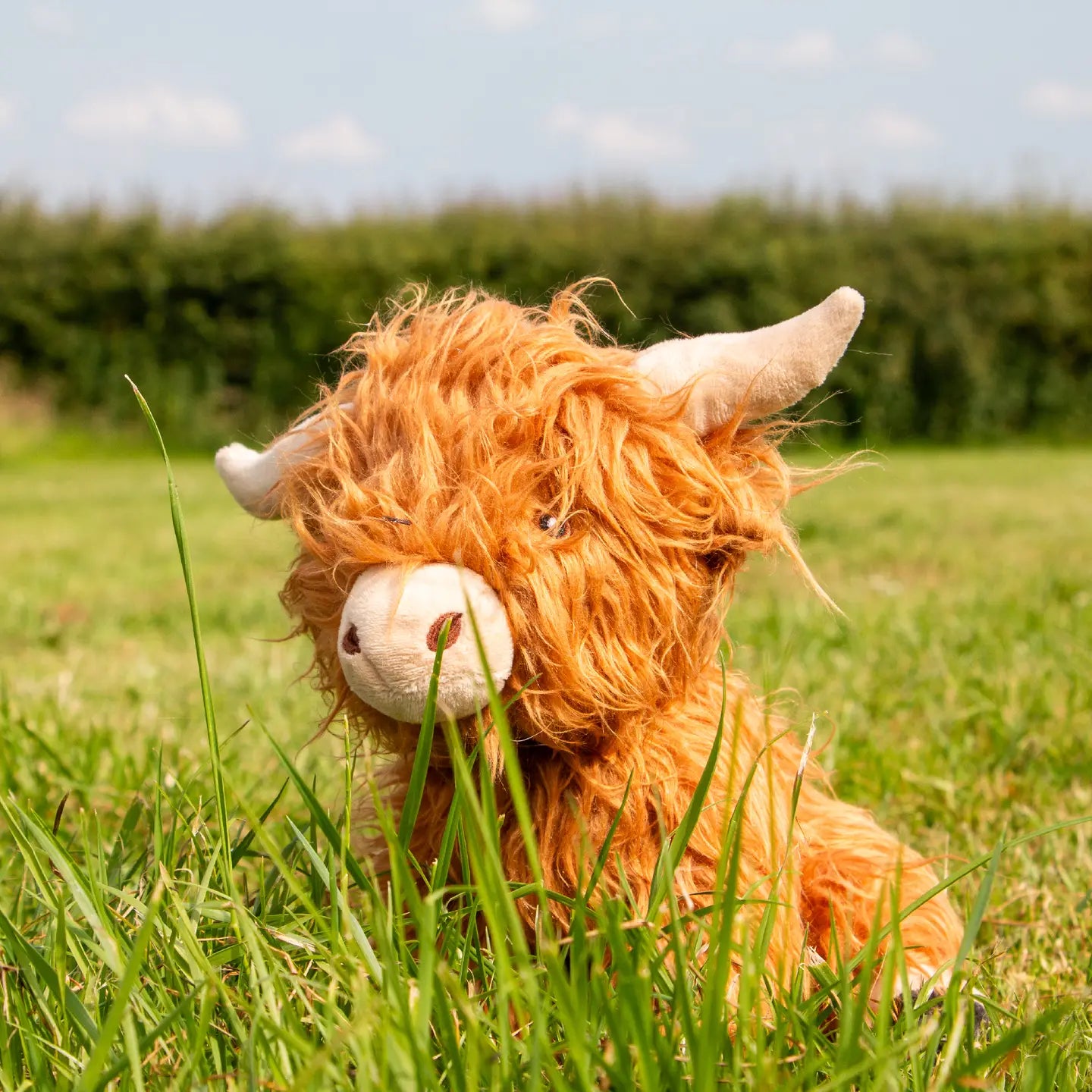 Fergus Highland Cow Toy