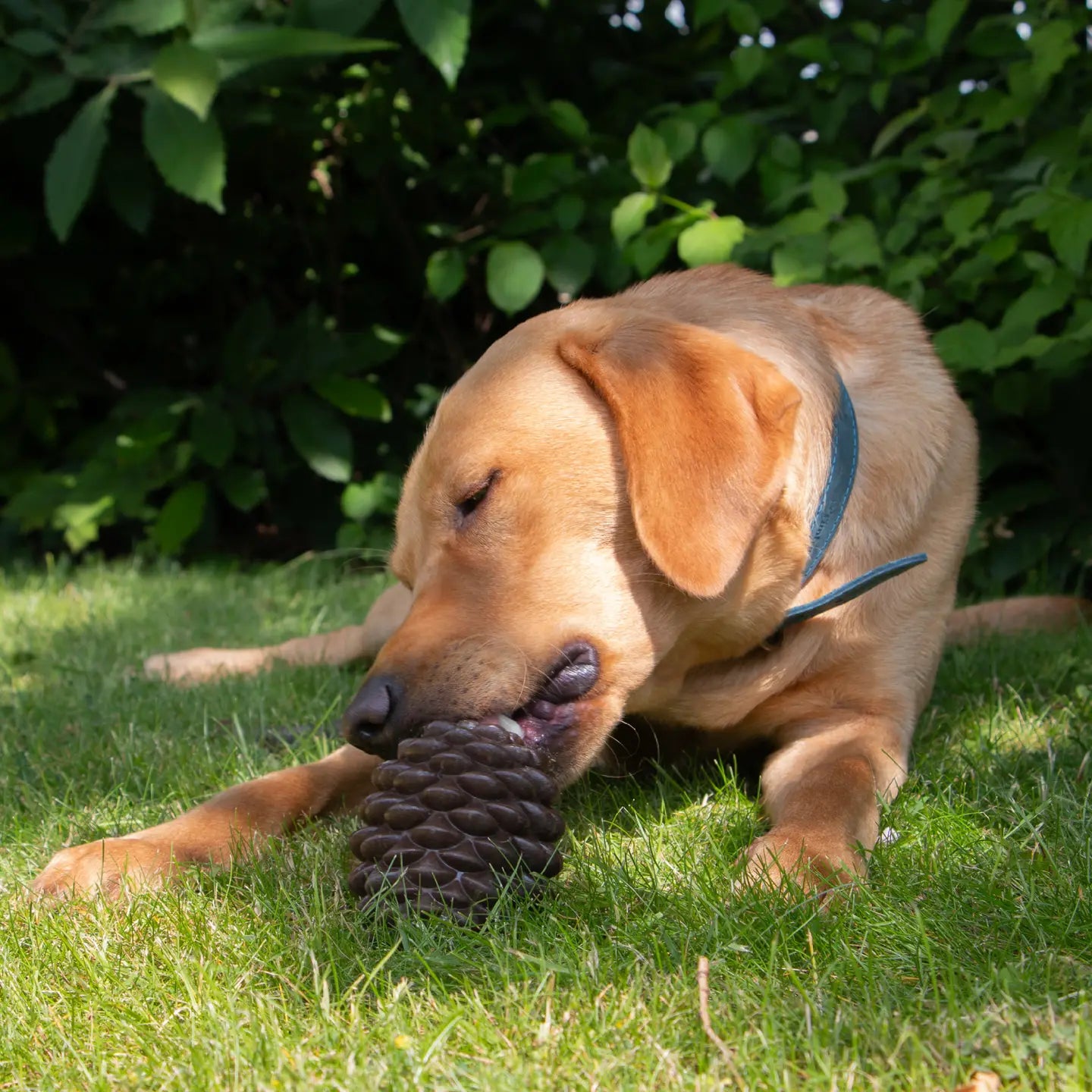 Tuff Stuff Pine Cone
