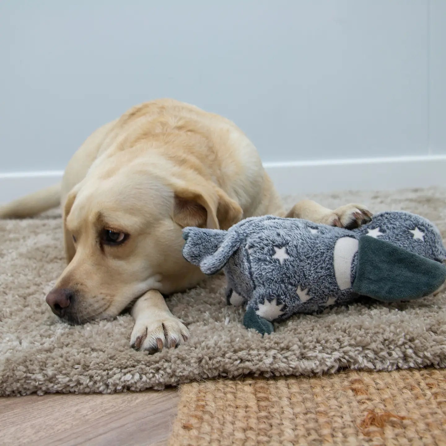 Cuddle Glow in the Dark Plush Owl Dog Toy