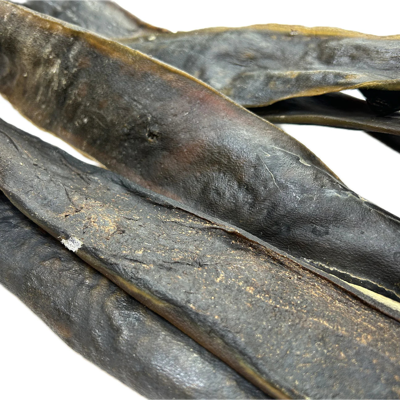 Giant 50cm Venison Skin Dog Chew