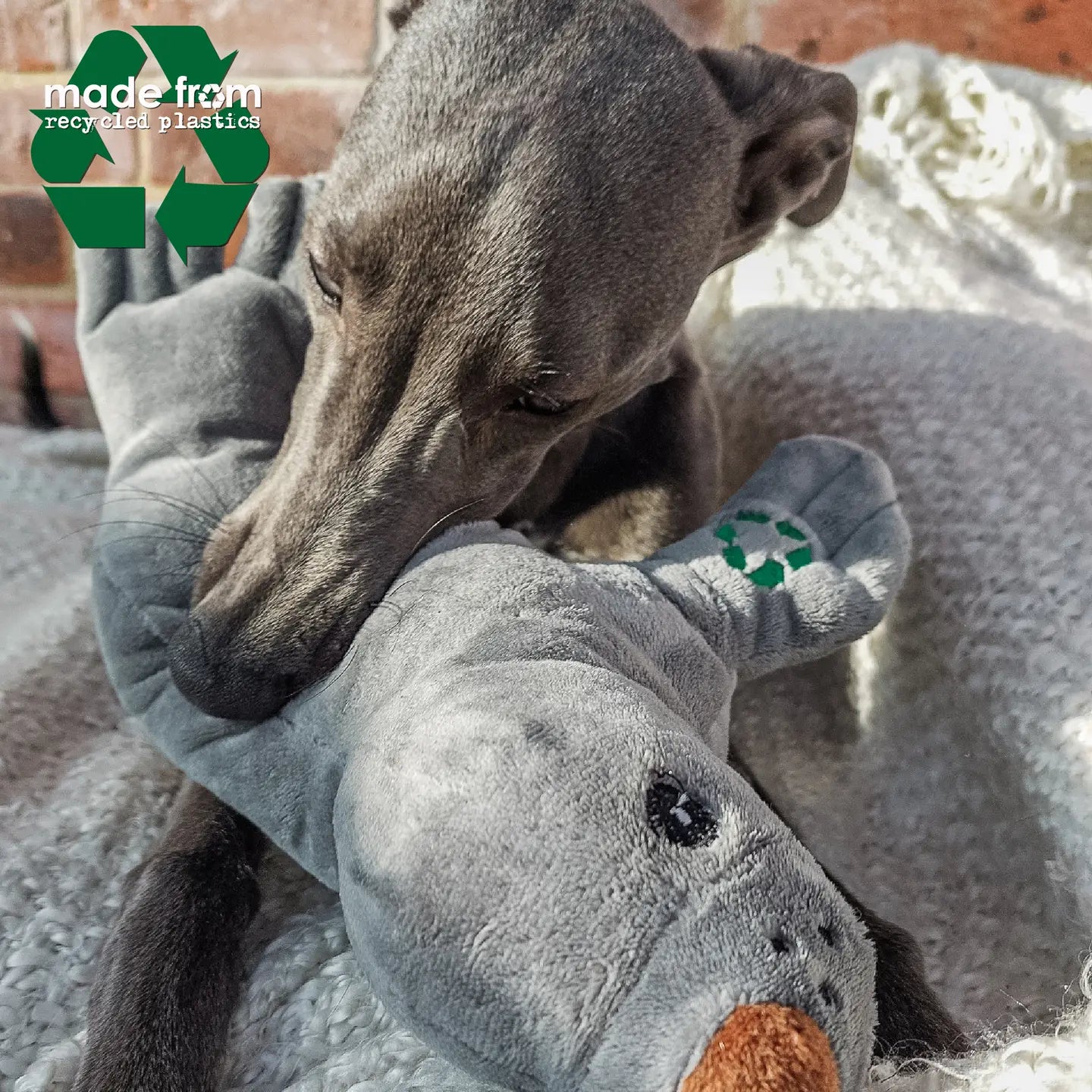 Eco Seal Dog Toy Plush