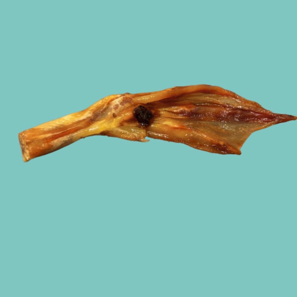10 Natural Air Dried Duck Feet for Dogs and Cats