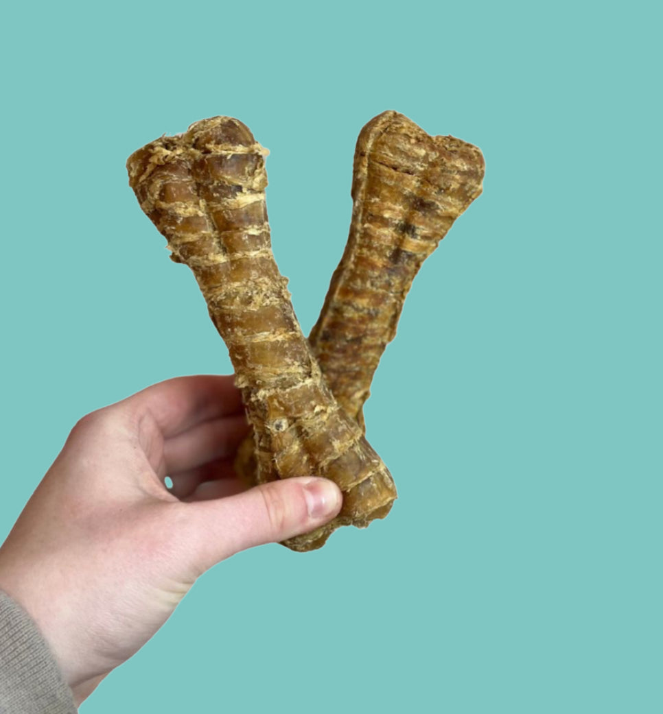 Buffalo Trachea Shaped Bone Chew