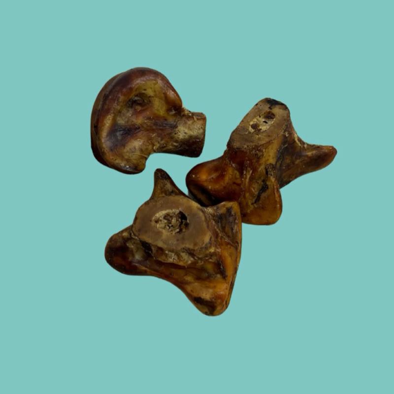 Ostrich Knuckle Bone