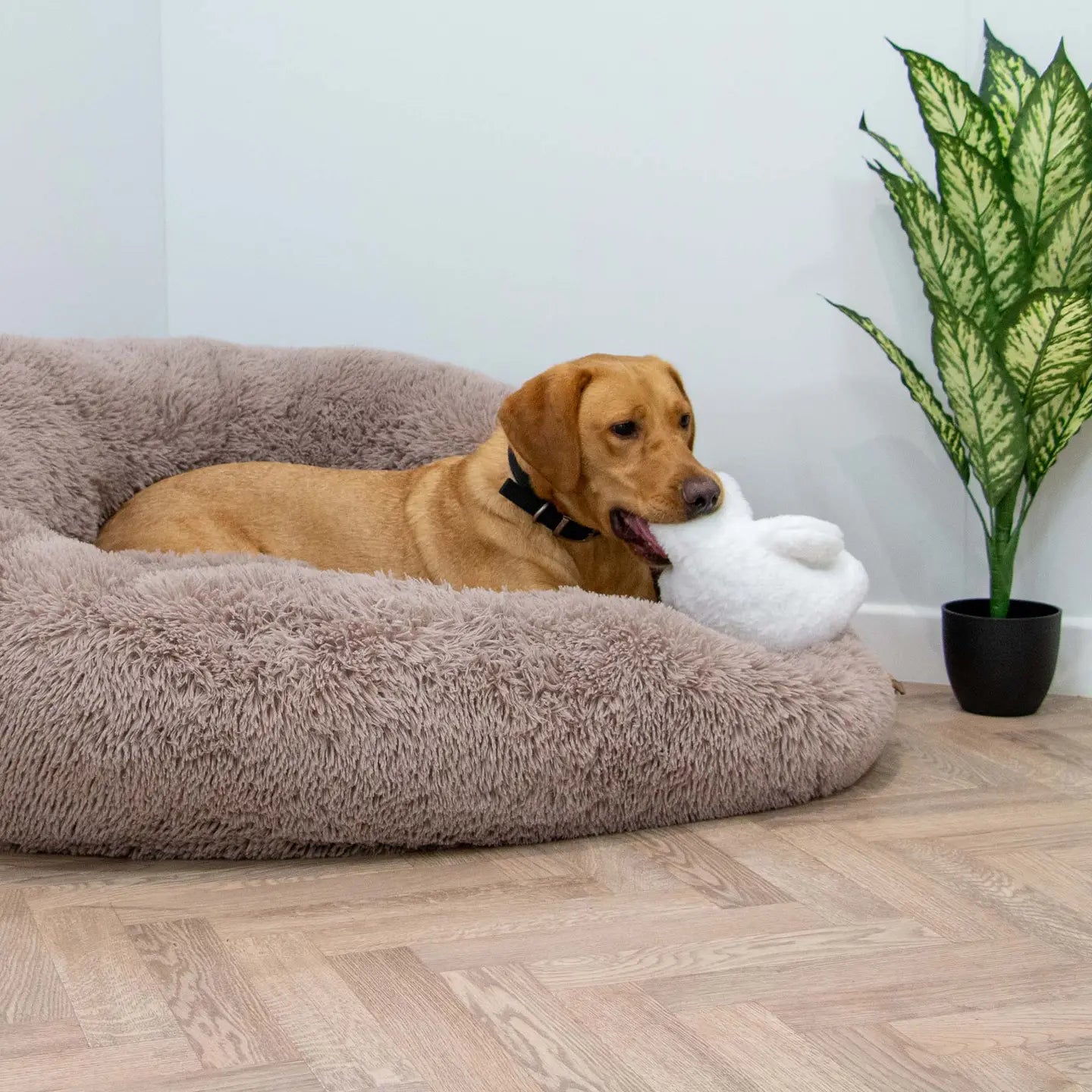 Cuddle Tough Tummies- Polar Bear