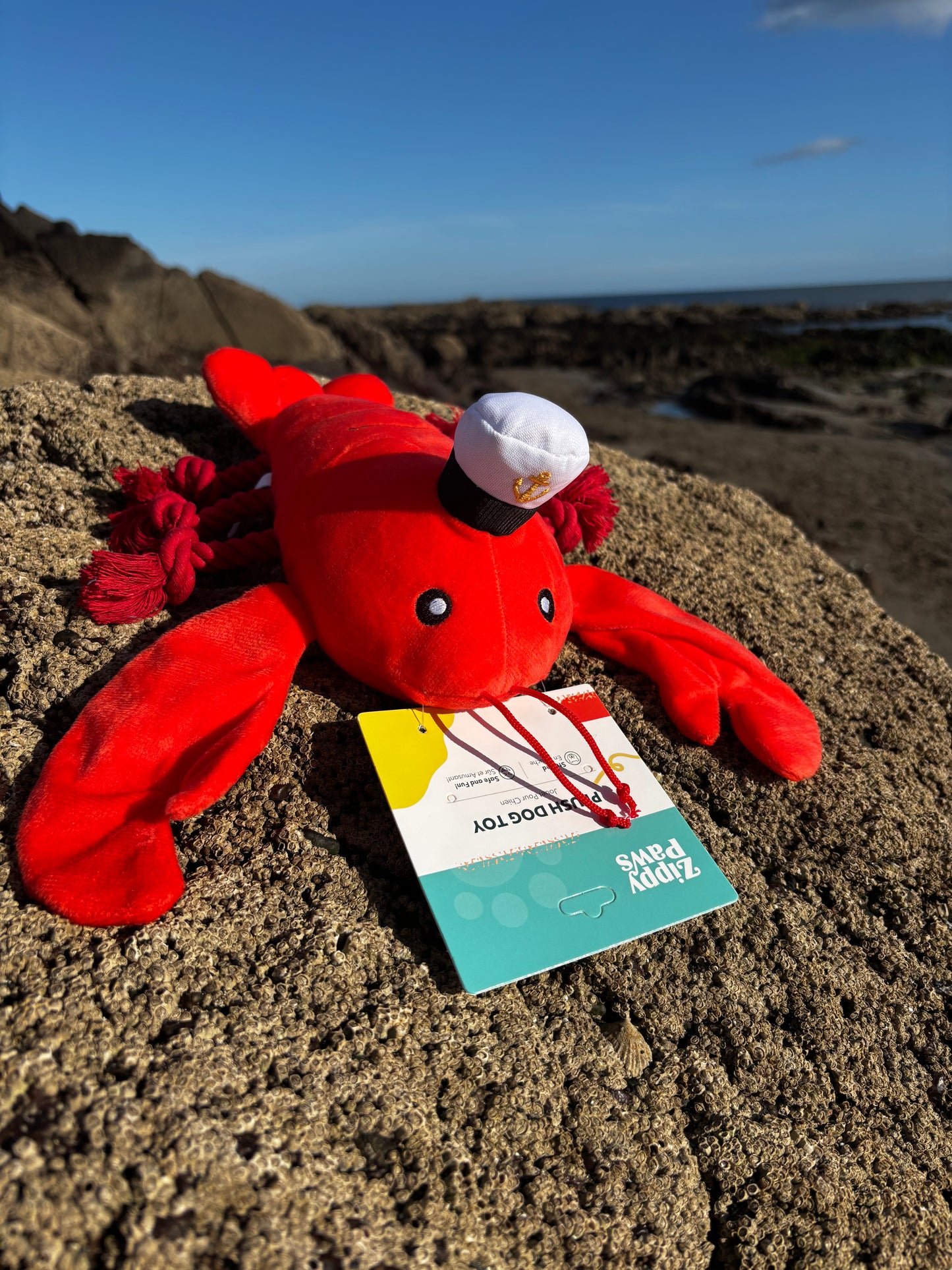 ZippyPaws Luca Lobster - Playful Pal Dog Toy