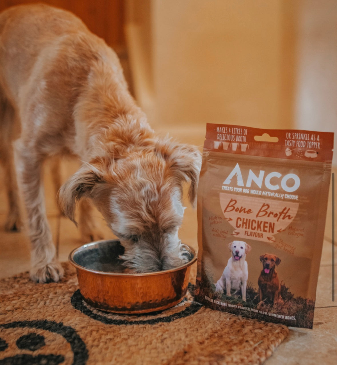 Anco Chicken Broth Powder 120g