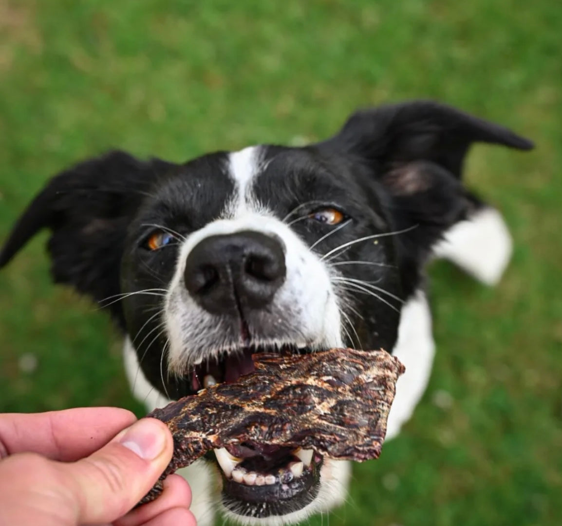 Ostrich Prime Meaty Steaks