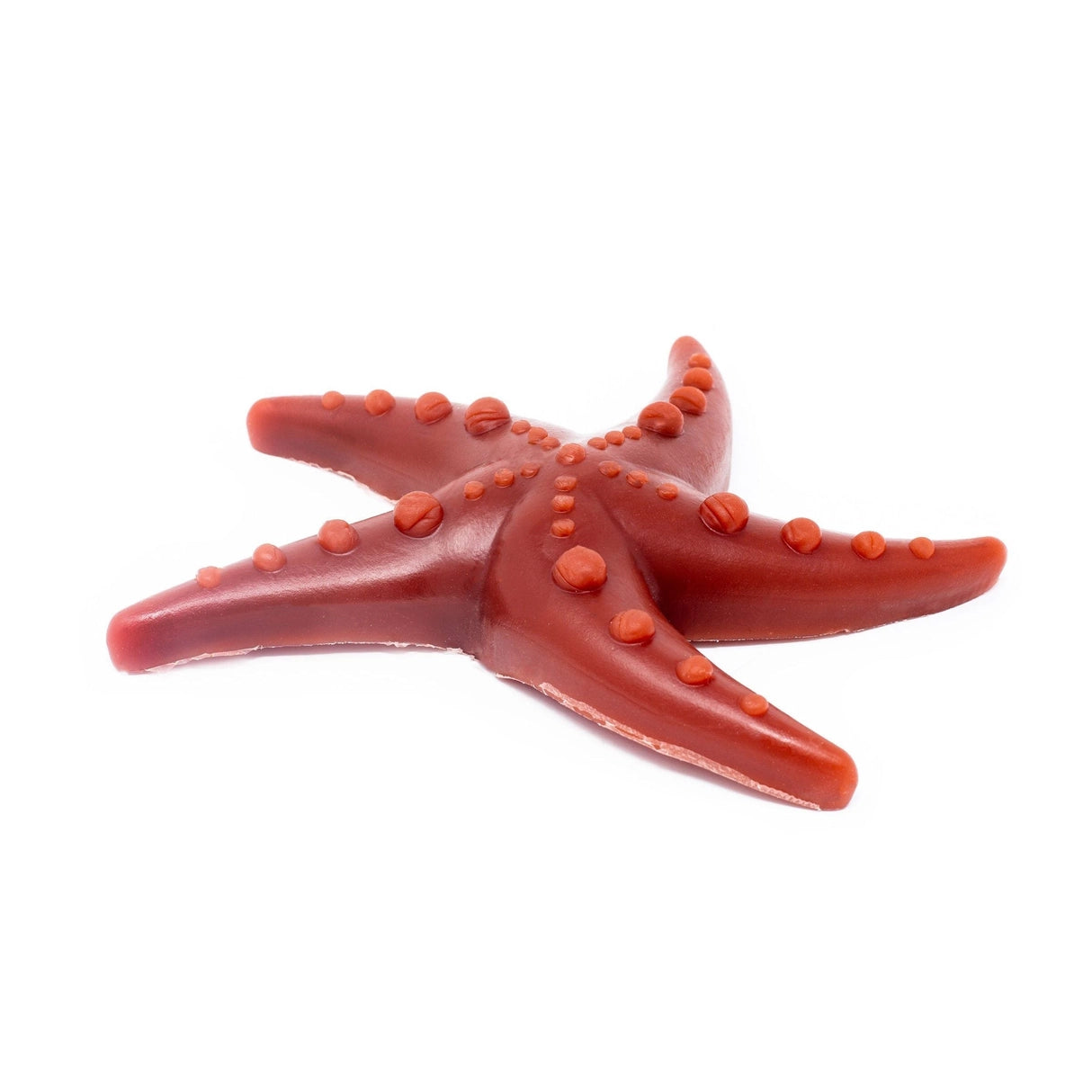 Apple, Mint & Broccoli Starfish Large