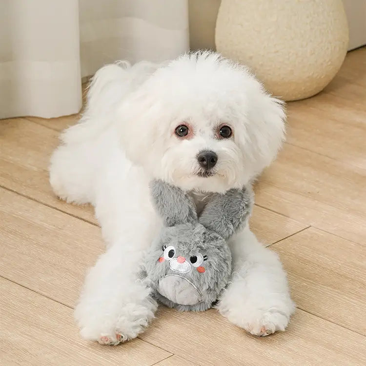 Easter Bunny 2 In 1 Ball Dog Toy