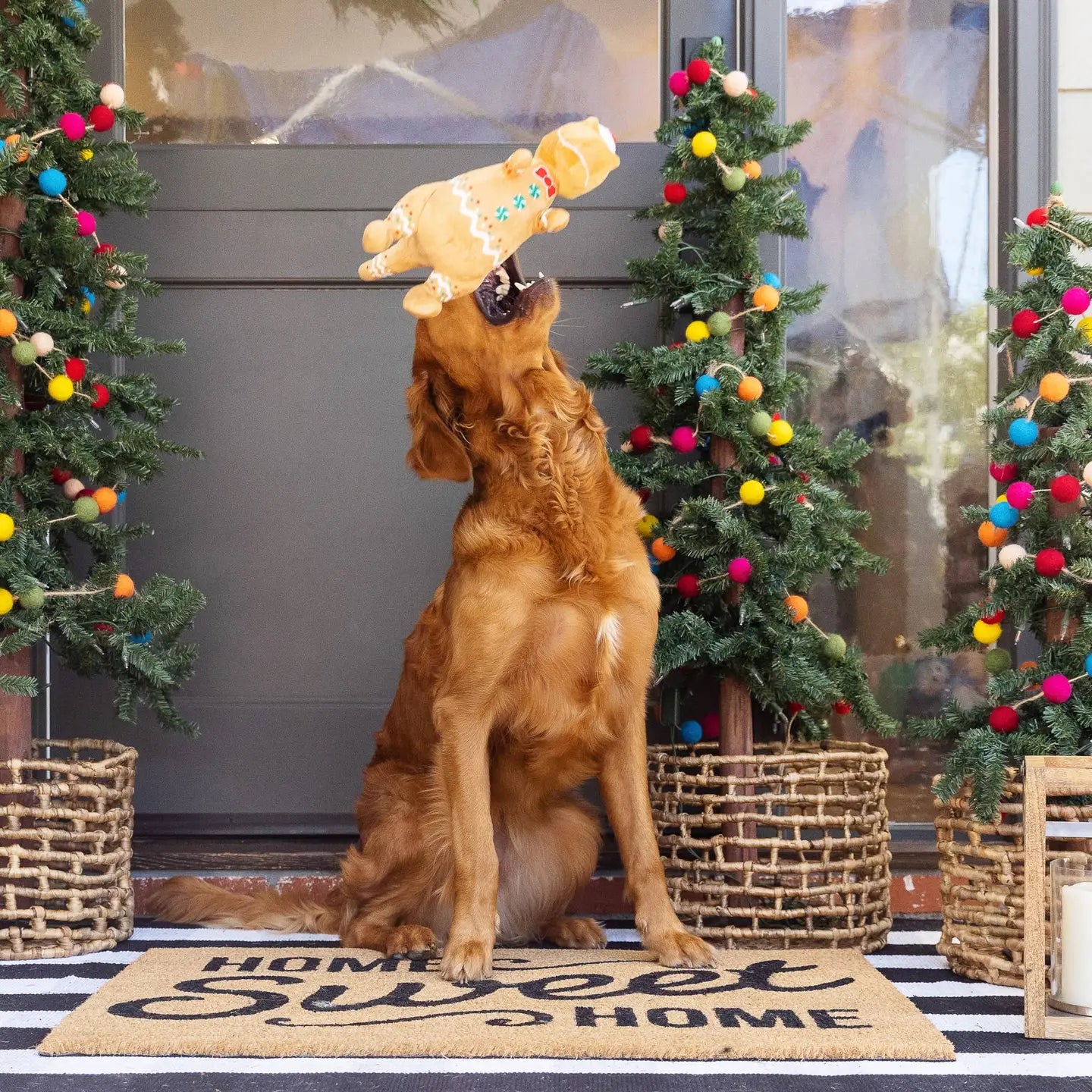 Cookie-Saurus Rex Christmas