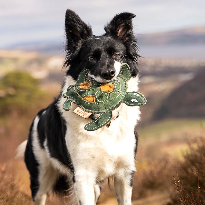 Tara Turtle- Eco Leather Dog Toy