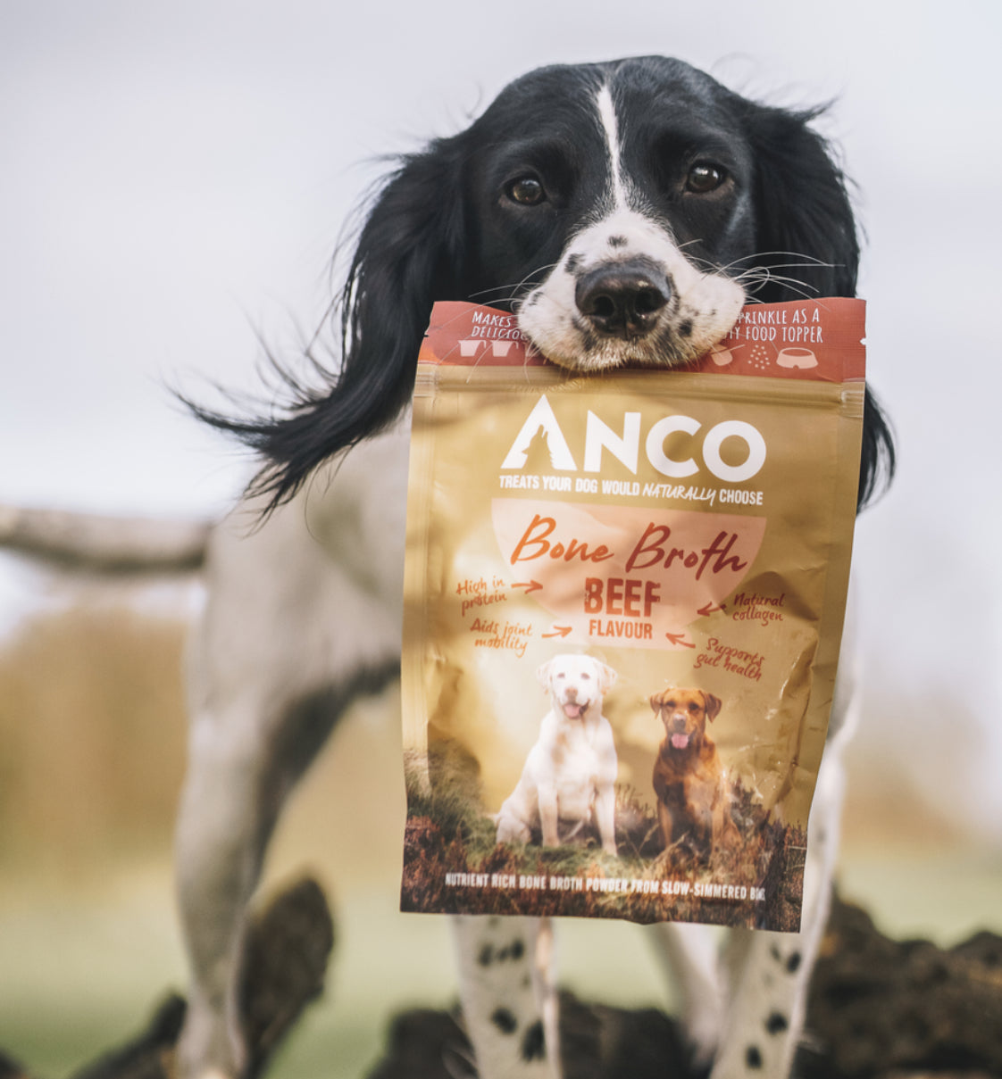 Anco Beef Broth Powder 120g