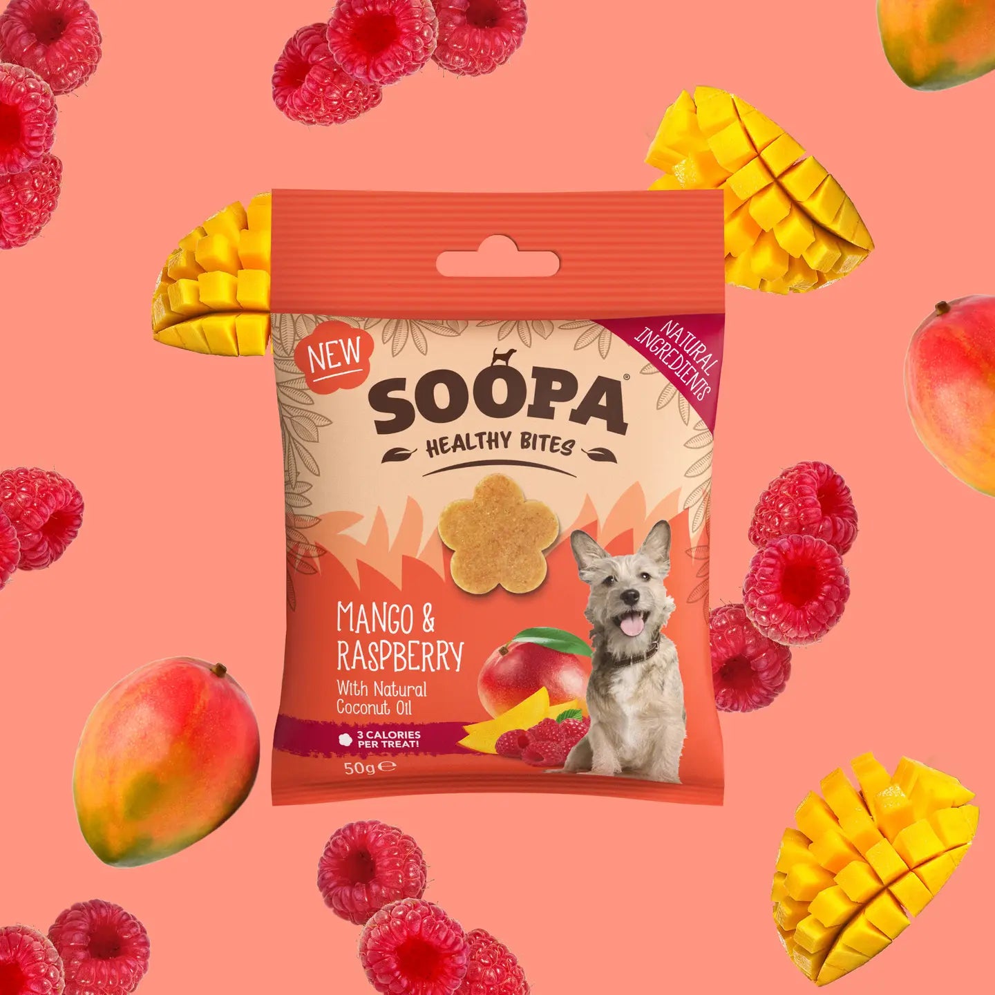 Soopa Mango & Raspberry Dog Treats 50g