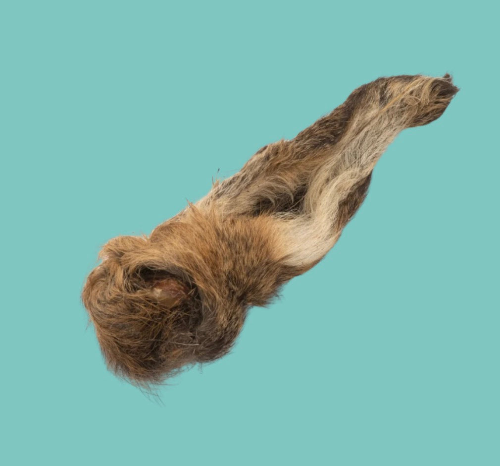 Large Hairy Venison Ear Natural Chee For Dogs