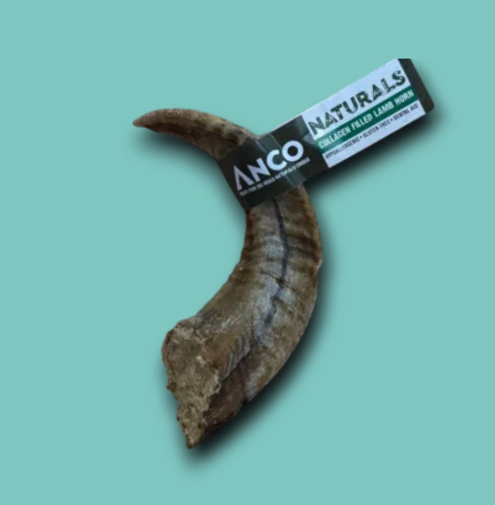 Collagen Filled Lamb Horn