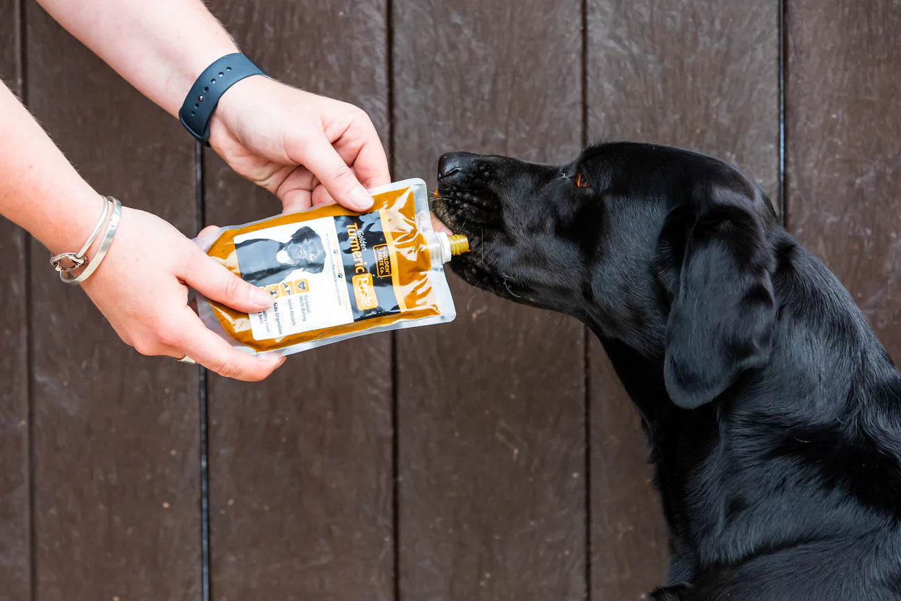 Golden Turmeric Paste for Dogs & Cats