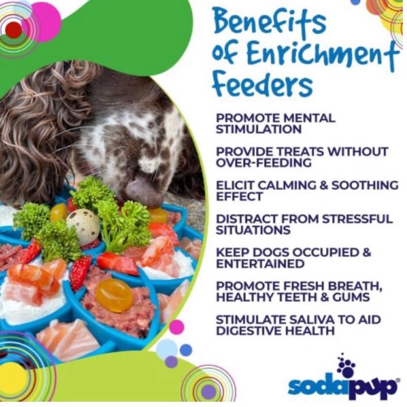 SodaPup Mandala Shallow Slow Feeder/Licki Tray