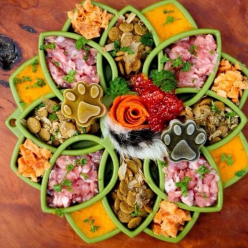 SodaPup Mandala Shallow Slow Feeder/Licki Tray