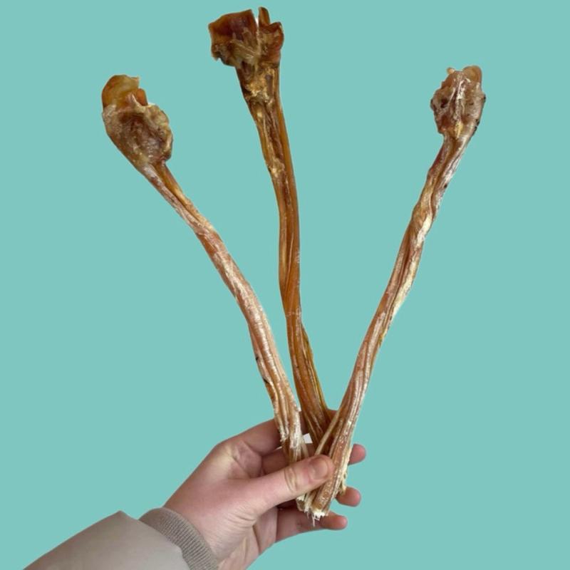 Natural Air Dried Ostrich Tendons Dog Chew