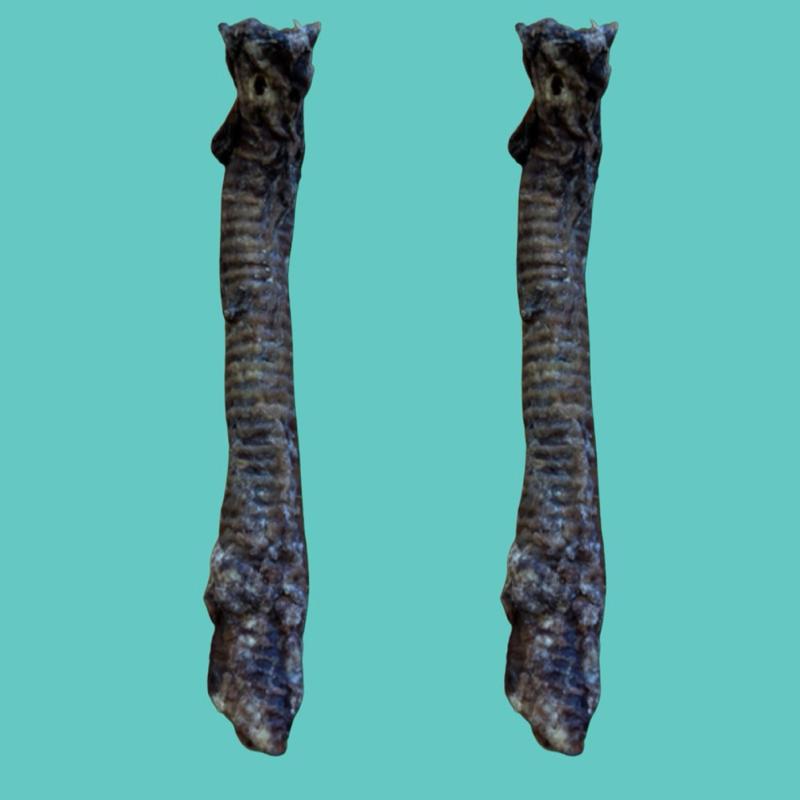 Goat Trachea Dog Treats