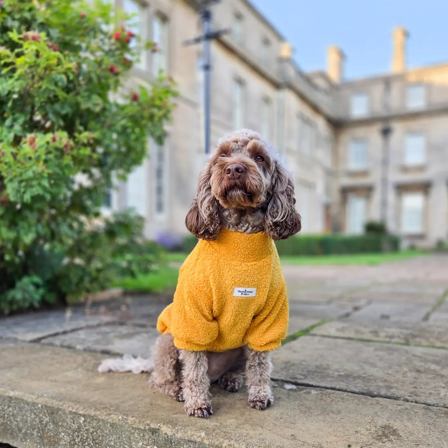 Paw Print Boutique Dog Fleece Mustard 5XL