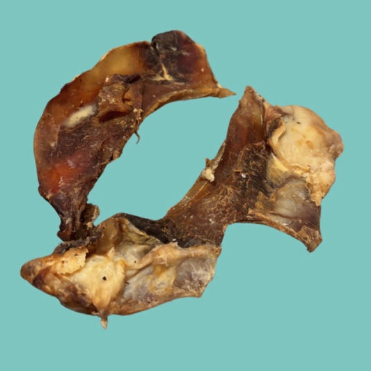 2 Beef Moon-bone Pieces