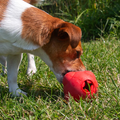Örva Tuff Stuff Treat Dispenser Shuttle Tough Chew Toy