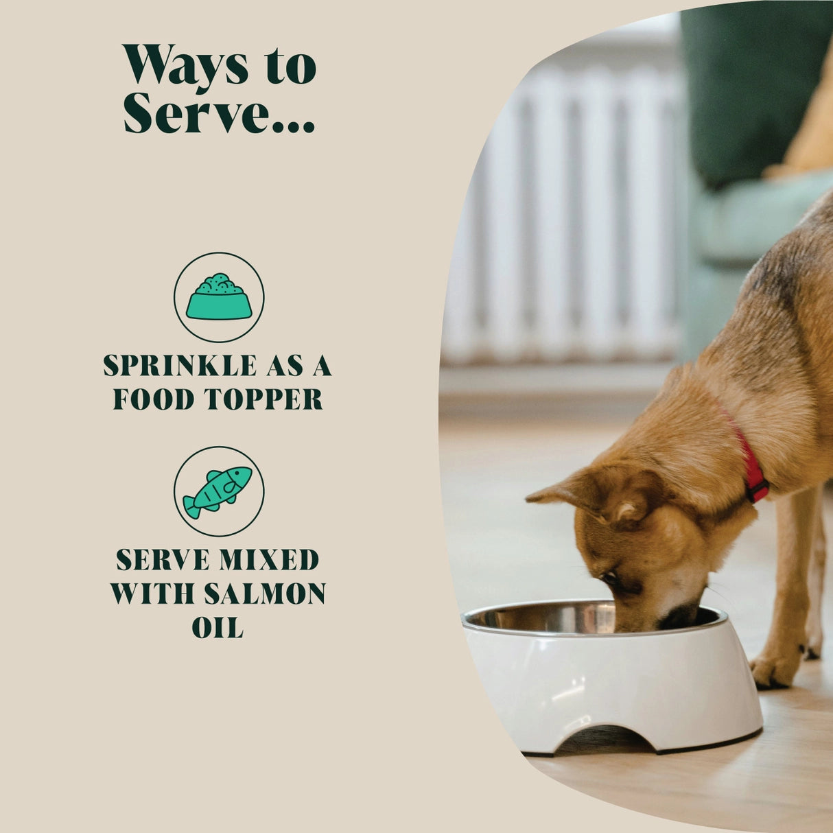 Green Lipped Mussel Powder For Dogs | 80 Servings