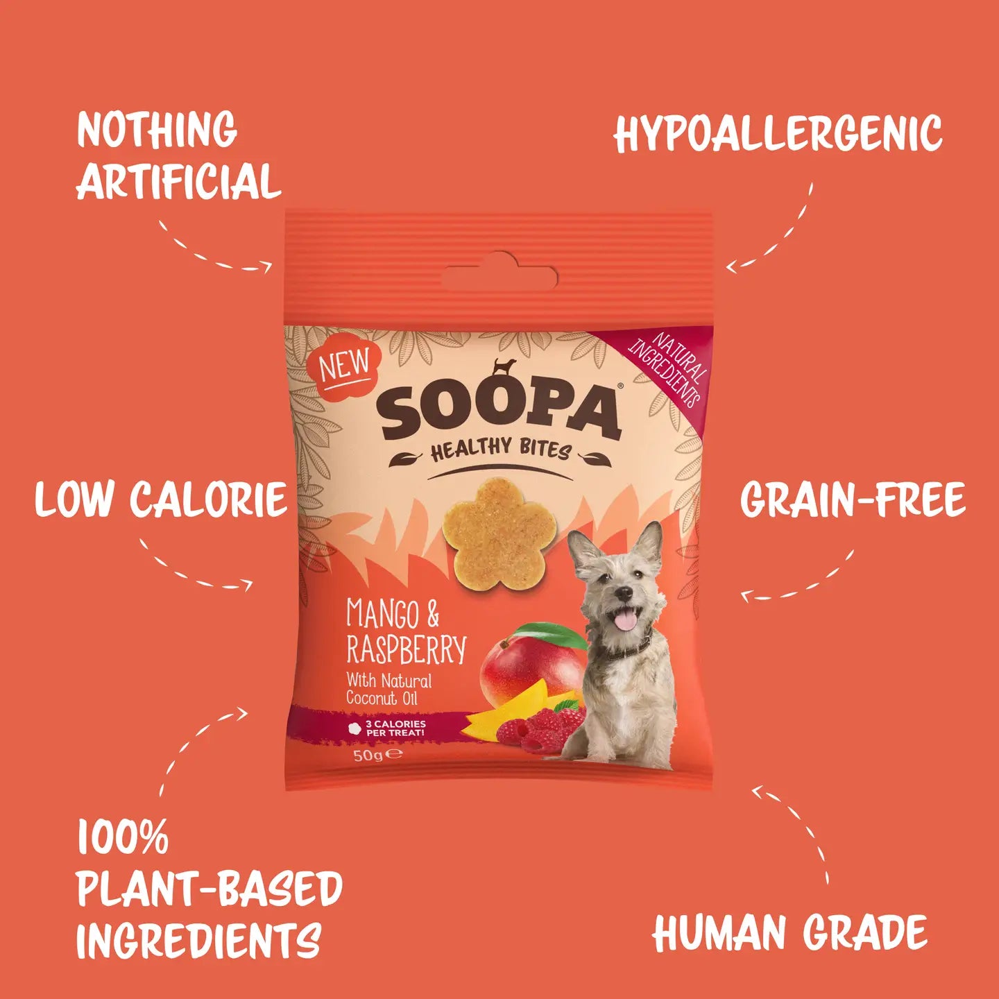 Soopa Mango & Raspberry Dog Treats 50g
