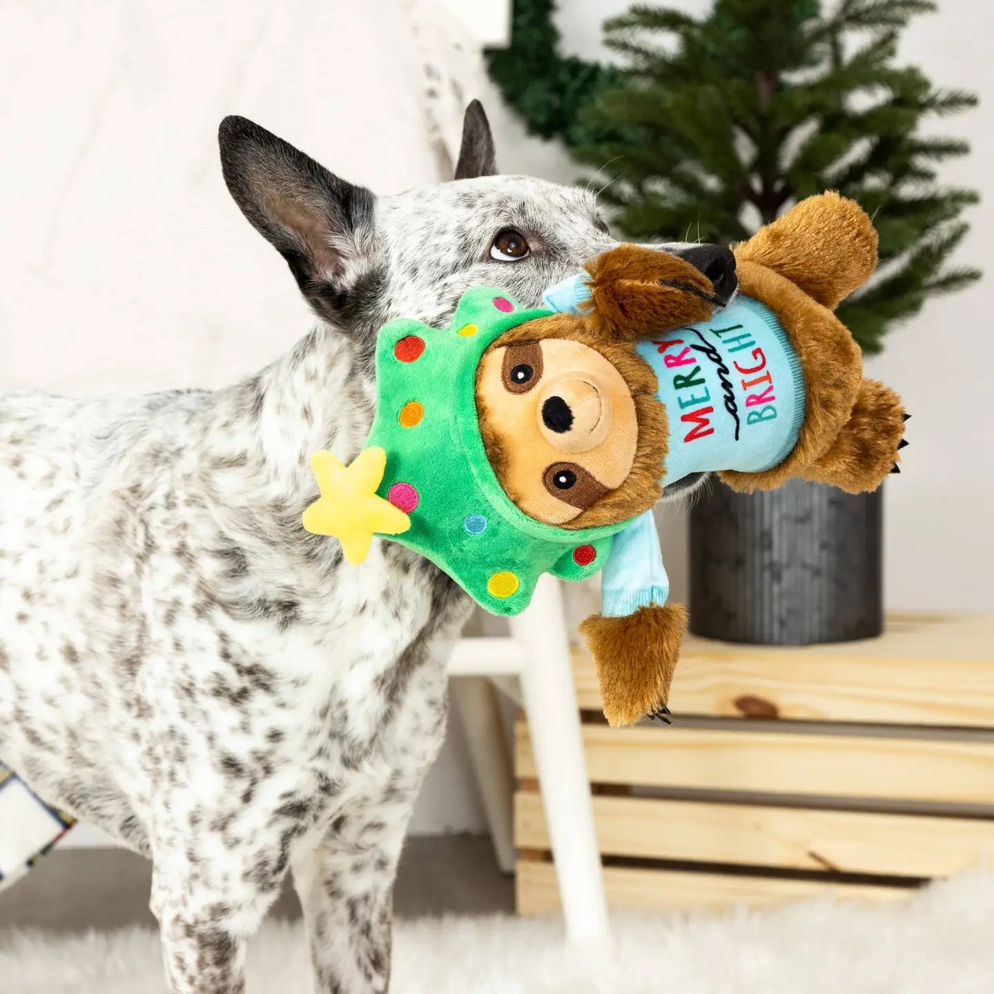 Turn On The Fun Sloth Christmas