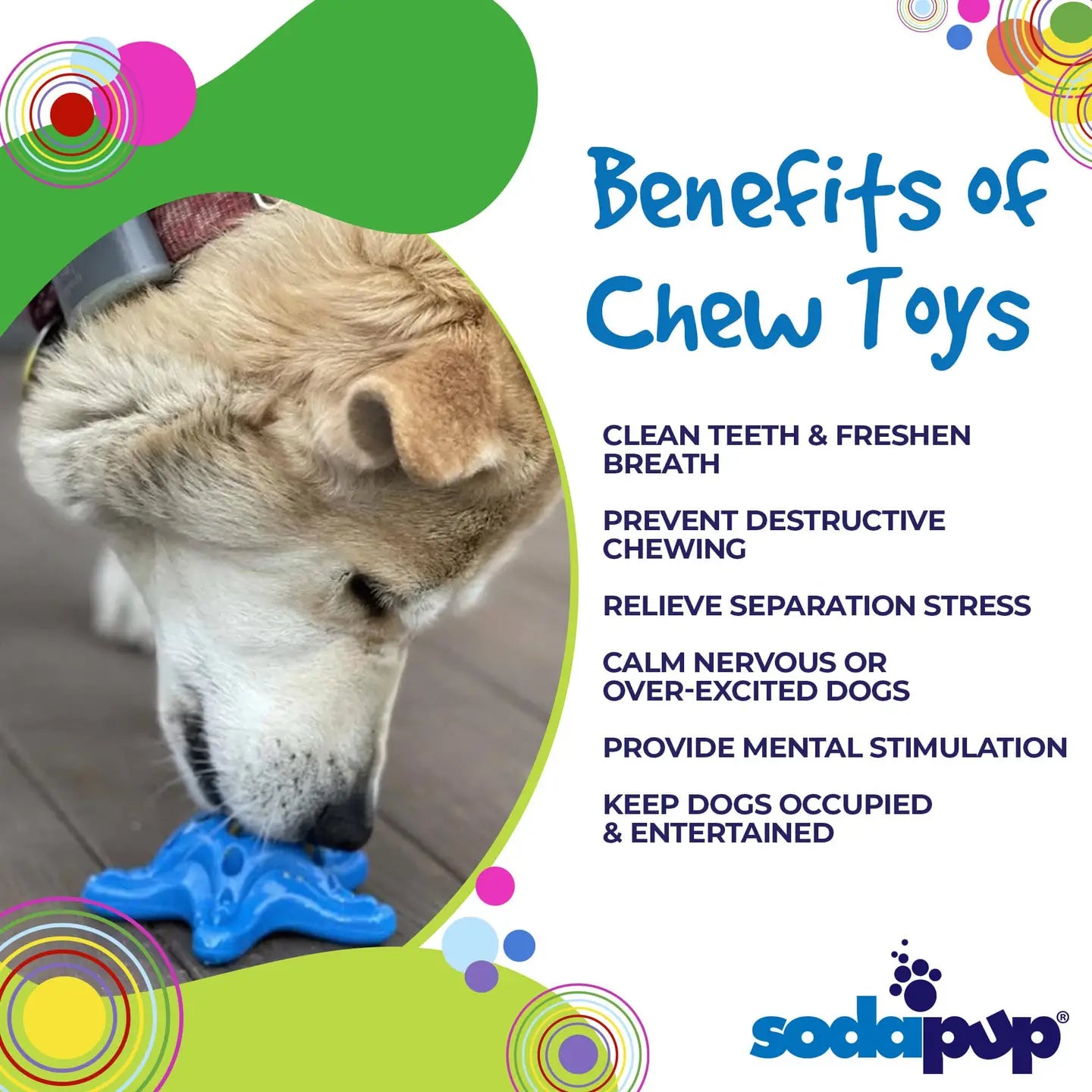 SodaPup Starfish Ultra Durable Nylon Dog Chew & Enrichment Toy