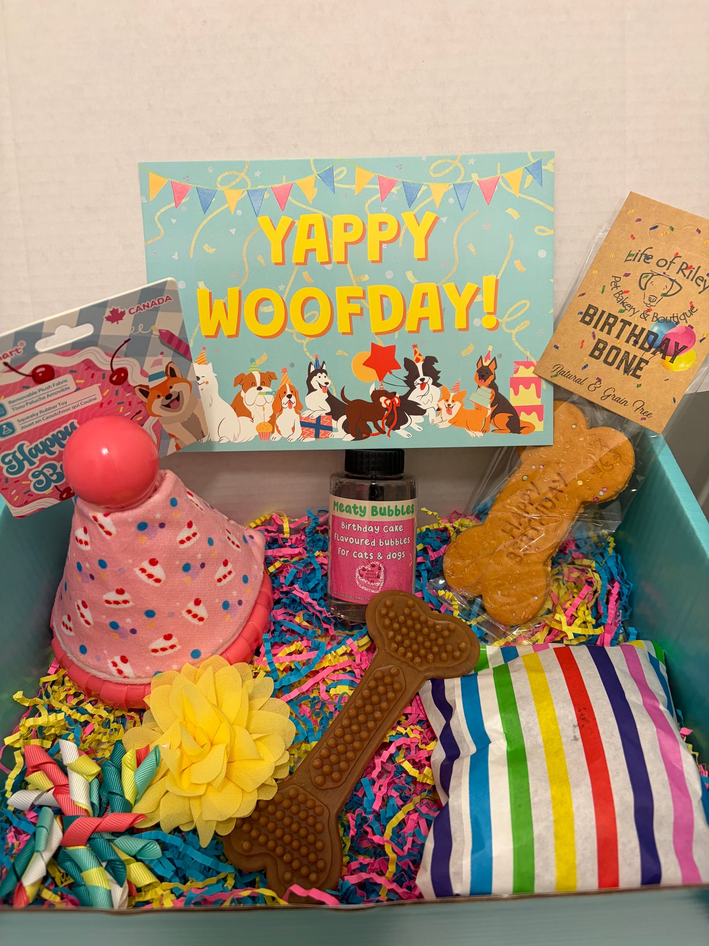 Dog Celebration Birthday Box