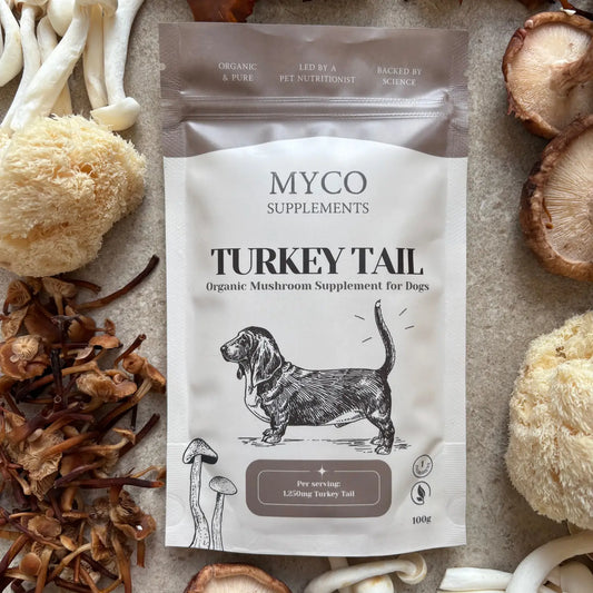 Turkey Tail - Organic Mushroom Immune Support Supplement For Dogs 100g