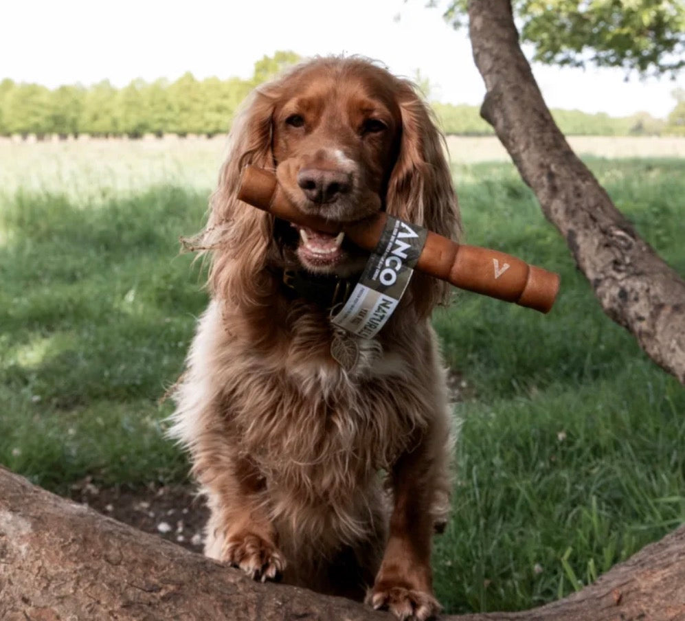 Yak Meat Natural Chew For Dogs Large Roll