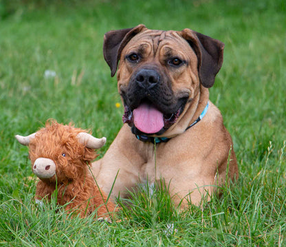 Fergus Highland Cow Dog Toy