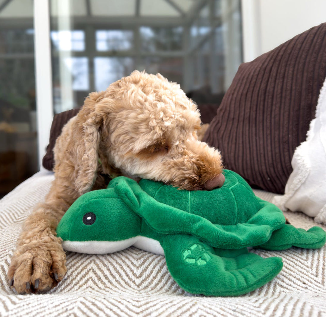 Eco Friendly Snuggle Turtle Dog Toy