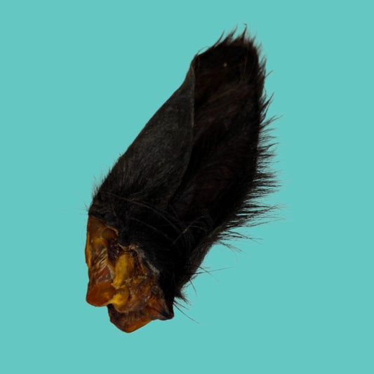 Hairy Buffalo Ears