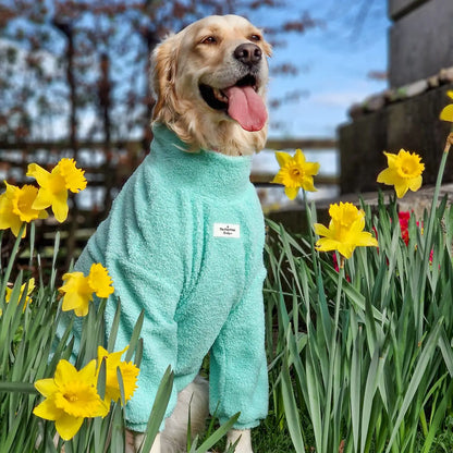Paw Print Boutique Dog Fleece Mint