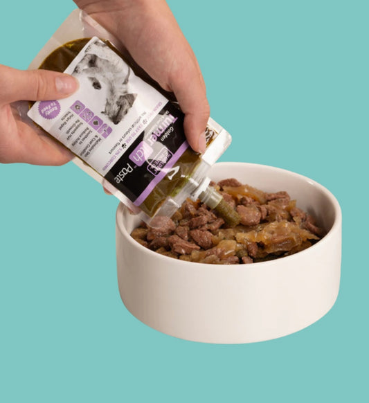 TumerItch Paste For Dogs & Cats