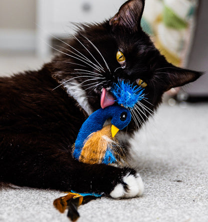 Peacock Cat Catnip Kicker Feather Toy