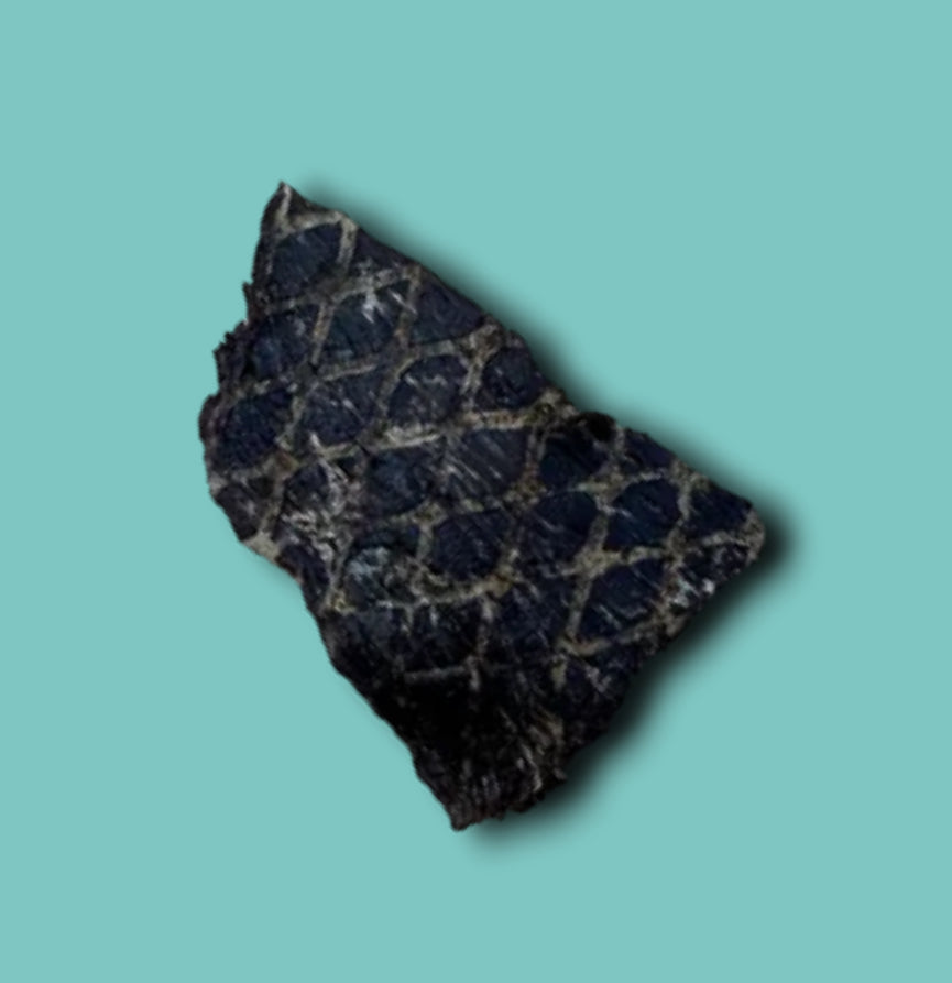 Ostrich Prime Meaty Steaks