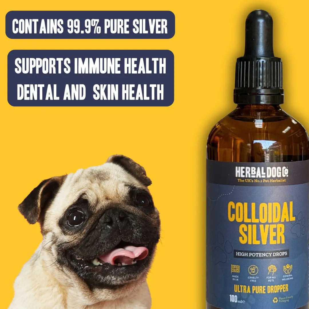 Colloidal Silver Drops: Cultivating Inner Radiance & Balance 100ml