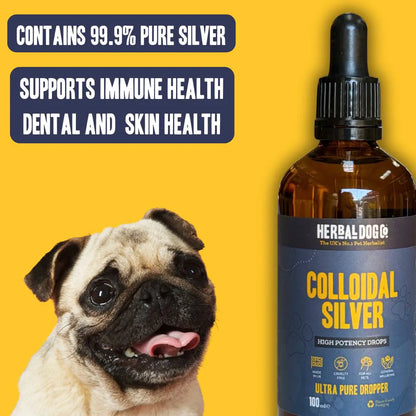Colloidal Silver Drops: Cultivating Inner Radiance & Balance 100ml