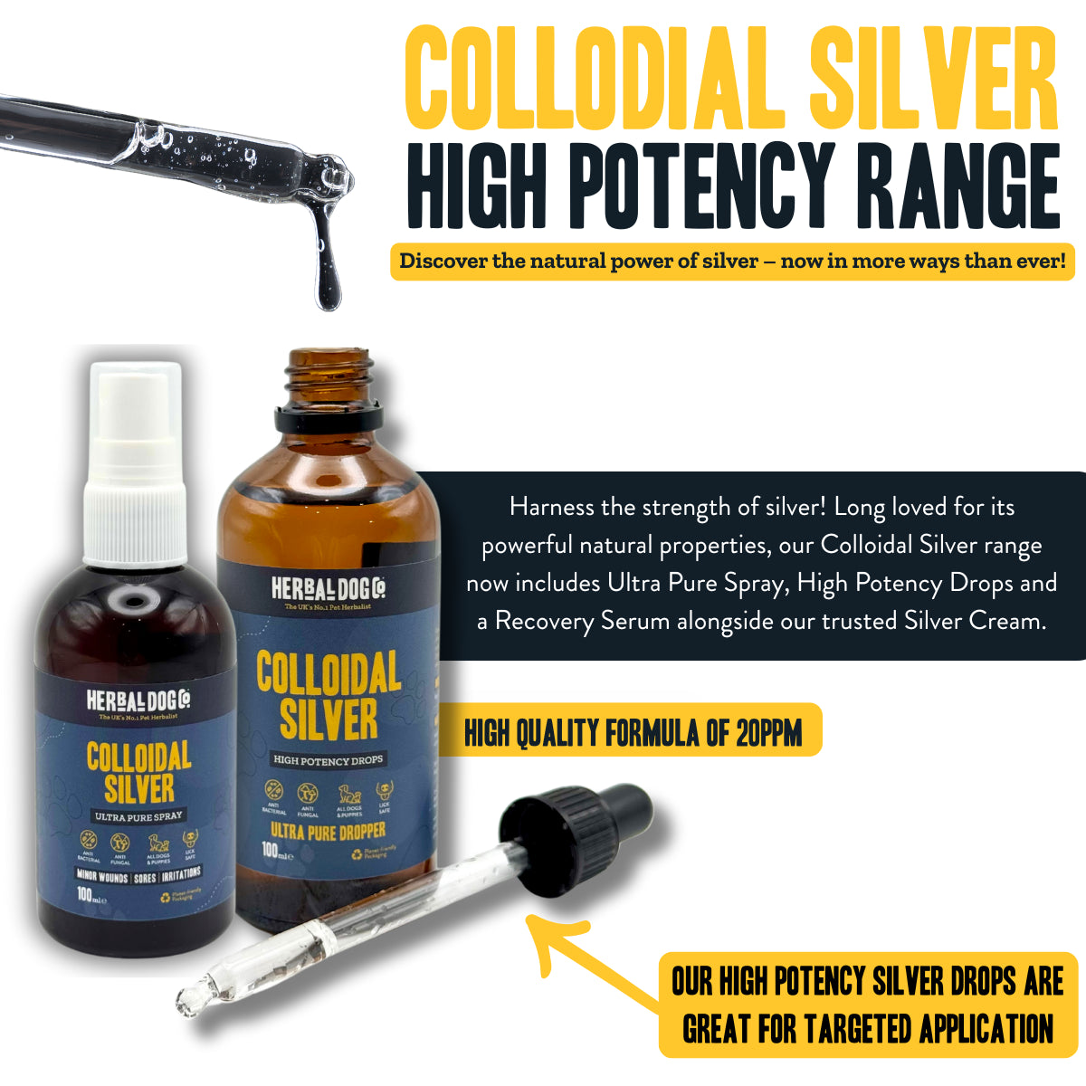 Colloidal Silver Drops: Cultivating Inner Radiance & Balance 100ml